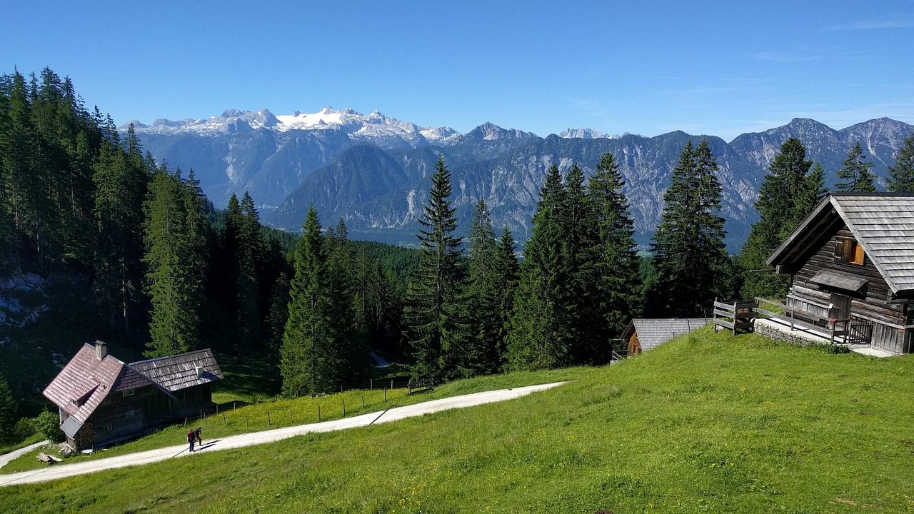 Baite di legno su un prato di montagna con la strada sterrata che sale in valle