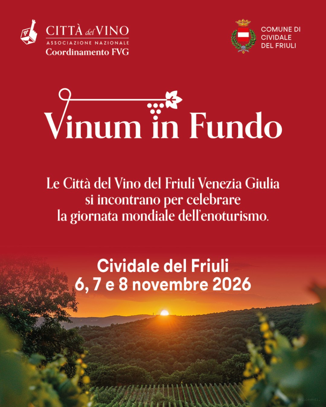 Vinum In Fundo